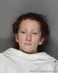 Mugshot of Jessica Michelle Karliner booked in Ellis County, Texas on September 1, 2026