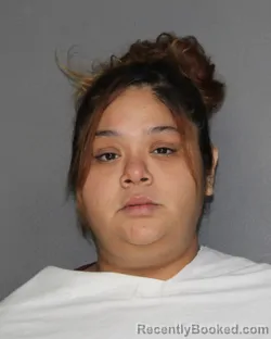Mugshot of Lorena Virginia Martinez booked in Ellis County, Texas on September 1, 2026