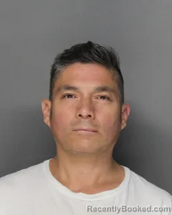 Mugshot of Fernando Leal booked in Ellis County, Texas on September 4, 2026