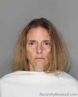 Mugshot of Crystal Lynn Jackson booked in Ellis County, Texas on September 5, 2026