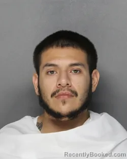 Mugshot of Alexis Hernandez booked in Ellis County, Texas on September 6, 2026