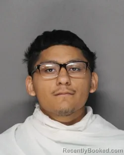 Mugshot of Leonardo Jose Alfaro booked in Ellis County, Texas on September 8, 2026