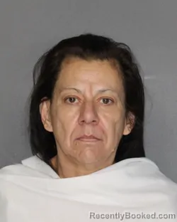 Mugshot of Deborah Wylie-Rodriguez booked in Ellis County, Texas on September 8, 2026