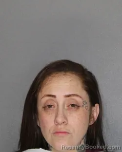 Mugshot of Erika Marie Guerra booked in Ellis County, Texas on September 8, 2026