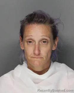 Mugshot of Brandee Danielle Hanford booked in Ellis County, Texas on September 9, 2026