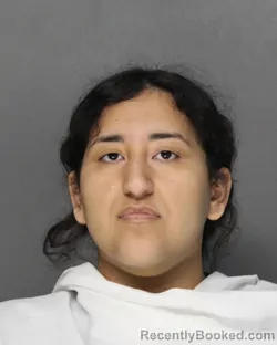 Mugshot of Sandra Michelle Garcia booked in Ellis County, Texas on September 9, 2026