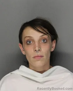 Mugshot of Alyssa Brooke Hamilton booked in Ellis County, Texas on September 13, 2026
