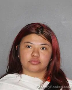 Mugshot of Annette America Azua booked in Ellis County, Texas on September 14, 2026