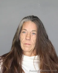 Mugshot of Karla May Kipp booked in Ellis County, Texas on October 25, 2026
