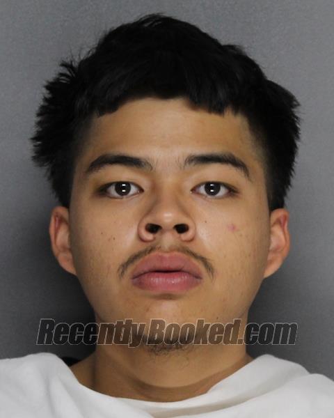 Booking photo from Ellis County, Texas