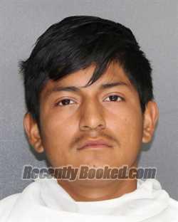 Booking photo from Ellis County, Texas