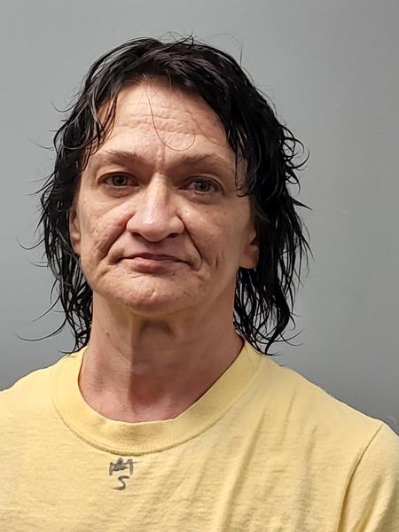 Mugshot of ARMINDA DENISE ANGLES booked in Dickenson County, Virginia on April 24, 2026