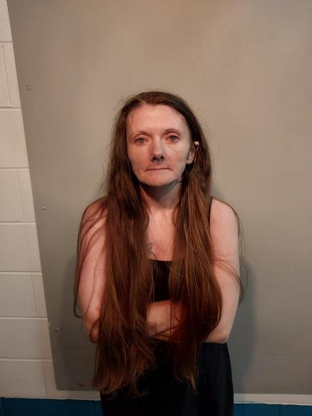 Mugshot of Allison Leann Brooks booked in Dickenson County, Virginia on June 1, 2026