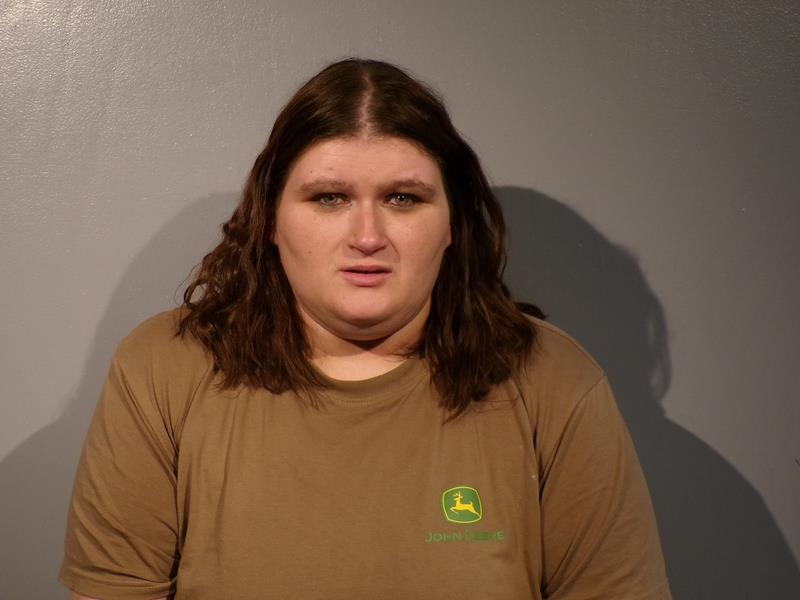 Mugshot of Amy Michelle Dales booked in Dickenson County, Virginia on June 6, 2026