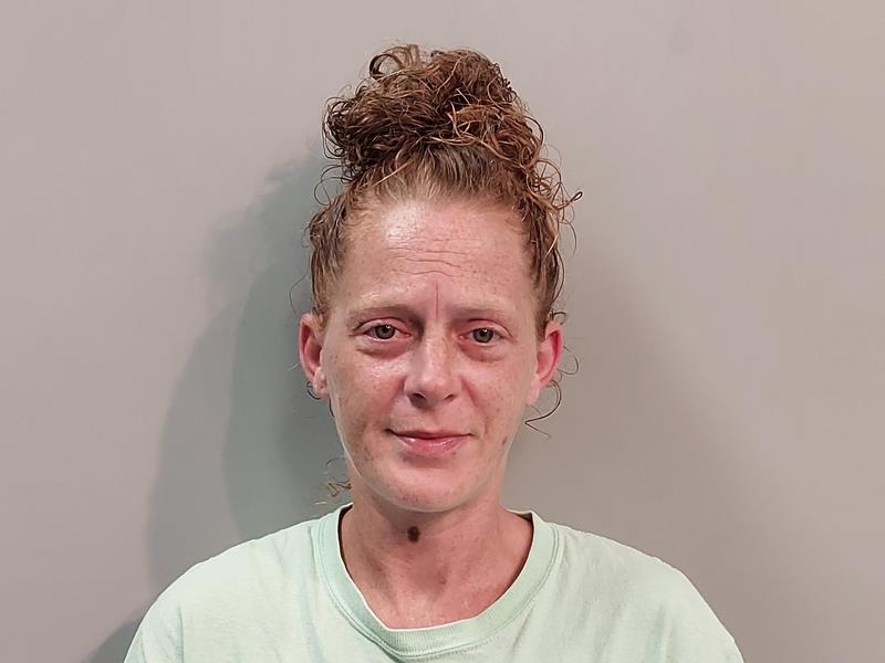 Mugshot of Amber Elizabeth Fowler booked in Dickenson County, Virginia on July 10, 2026