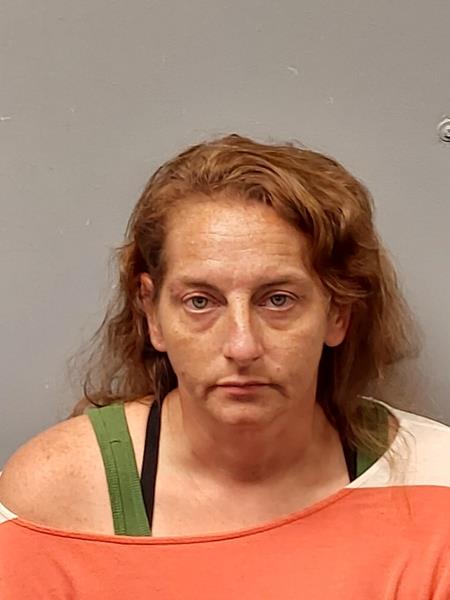Mugshot of Ashley Megan Lewis booked in Dickenson County, Virginia on October 4, 2026