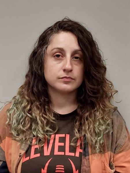 Mugshot of Anna Marie McGuire booked in Dickenson County, Virginia on May 14, 2026