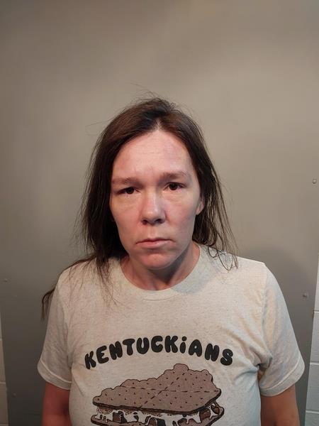Mugshot of April Nicole Millis booked in Dickenson County, Virginia on June 17, 2026