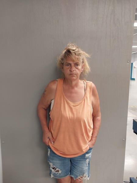 Mugshot of Annette Marie Stapleton booked in Dickenson County, Virginia on September 19, 2026