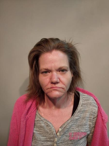 Mugshot of Brandy Nicole Hall booked in Dickenson County, Virginia on April 21, 2026