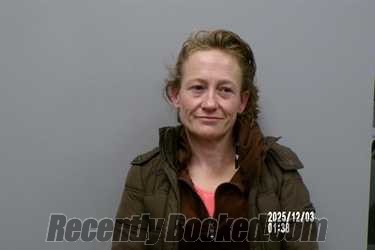 Booking photo from Dickenson County, Virginia