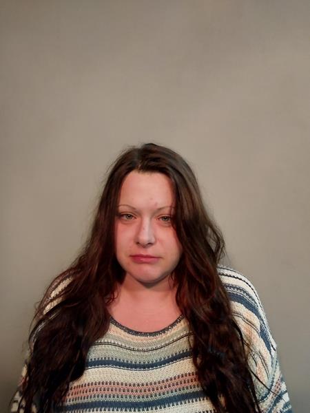 Mugshot of Brandi Shaie Smith booked in Dickenson County, Virginia on April 11, 2026