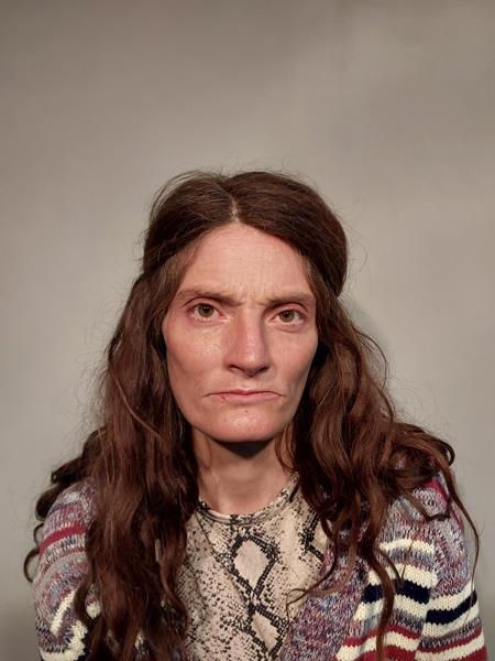 Mugshot of Diana Lynn Brewster booked in Dickenson County, Virginia on March 29, 2026