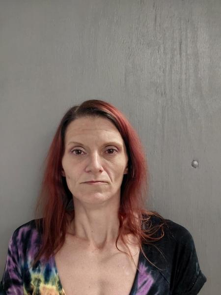 Mugshot of Jessica Nicole Hobbs booked in Dickenson County, Virginia on September 14, 2026