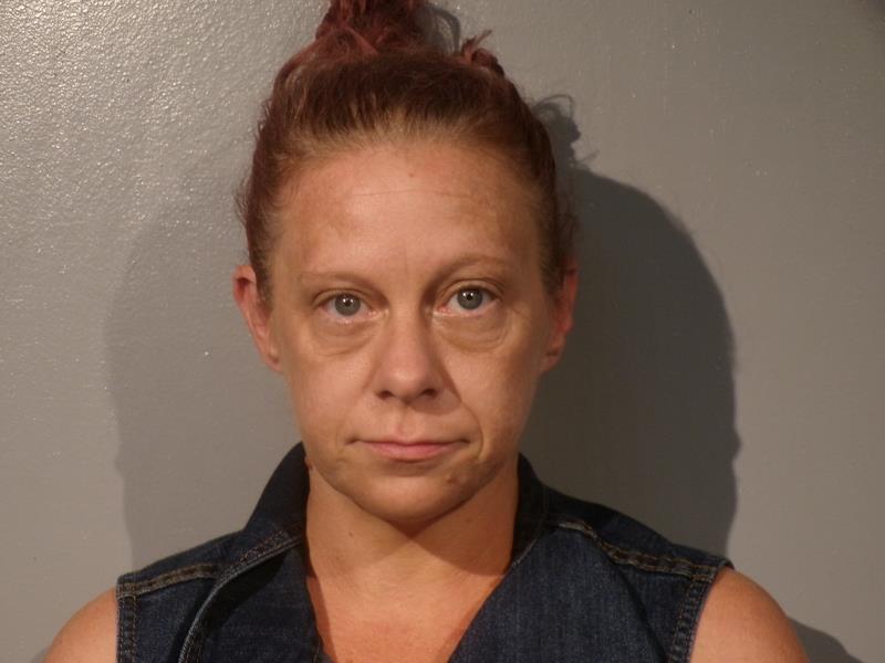 Mugshot of Jade Smantha Reedy booked in Dickenson County, Virginia on April 17, 2026