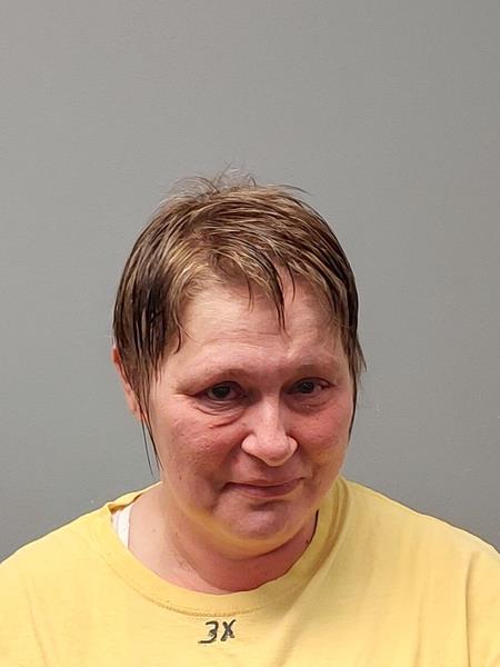 Mugshot of JENNIFER LYNN Ward booked in Dickenson County, Virginia on March 20, 2026