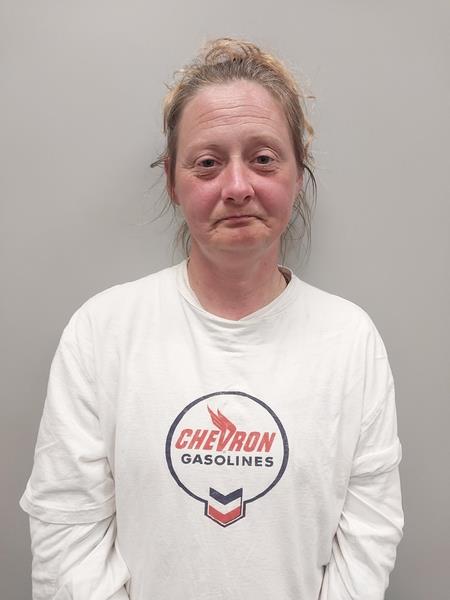 Mugshot of Lana Harrington Henry booked in Dickenson County, Virginia on March 14, 2026