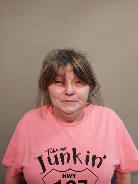 Mugshot of Melissa Ann Catron