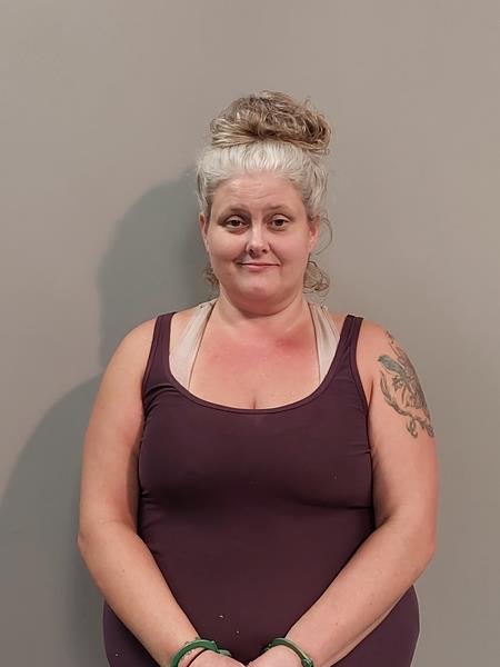 Mugshot of Megan Renee Dotson booked in Dickenson County, Virginia on September 17, 2026