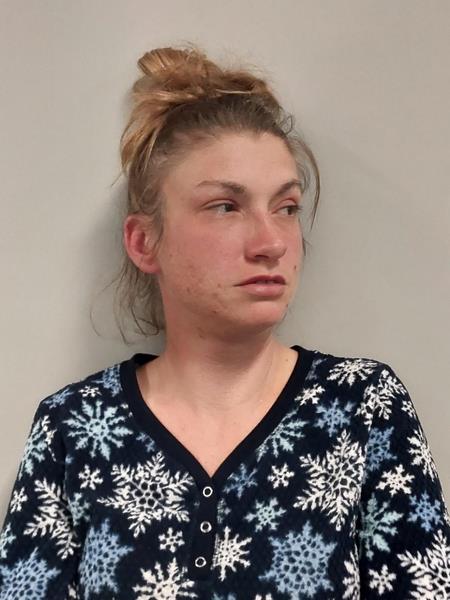 Mugshot of Mista Nichole Hawthorne booked in Dickenson County, Virginia on October 25, 2026