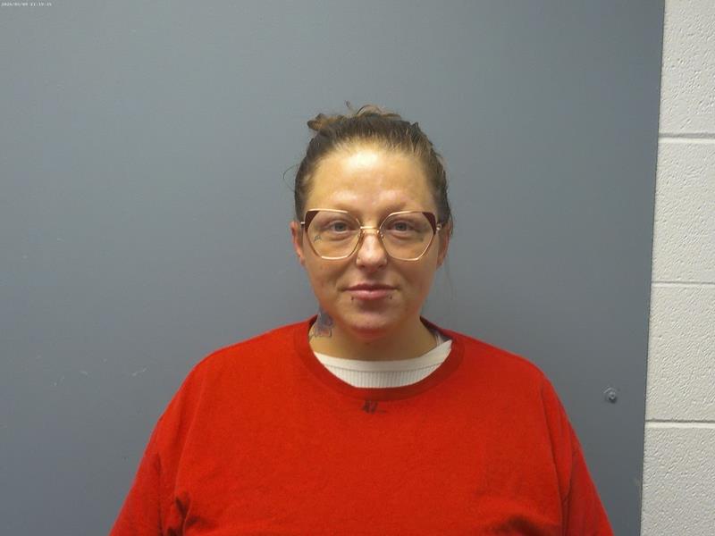 Mugshot of Mary Ashley Hicks booked in Dickenson County, Virginia on May 5, 2026
