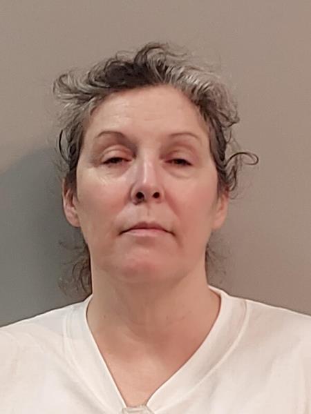 Mugshot of Pamela Michelle Fansler booked in Dickenson County, Virginia on August 1, 2026