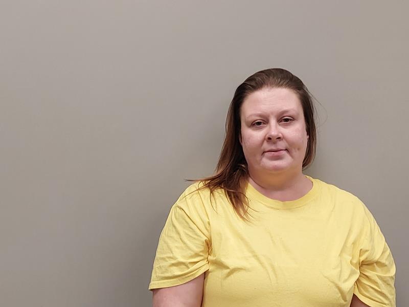 Mugshot of Shannon Nicole Chapman booked in Dickenson County, Virginia on June 23, 2026