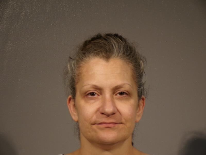 Mugshot of SHANNON MARIE MOSCATO FLEMING booked in Dickenson County, Virginia on June 18, 2026