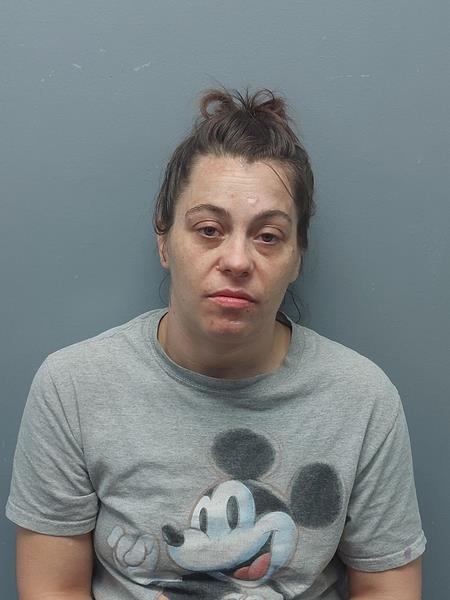 Mugshot of Shawna Danielle Galliher booked in Dickenson County, Virginia on August 21, 2026