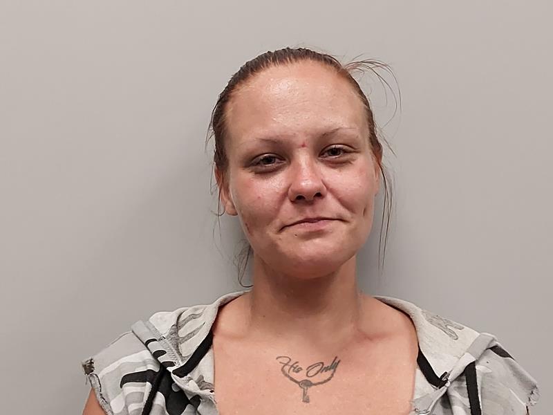 Mugshot of Sydney May Hatcher booked in Dickenson County, Virginia on June 18, 2026