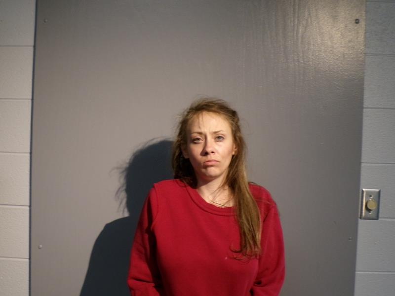 Mugshot of Shyanne Brooke Ritchie booked in Dickenson County, Virginia on July 3, 2026