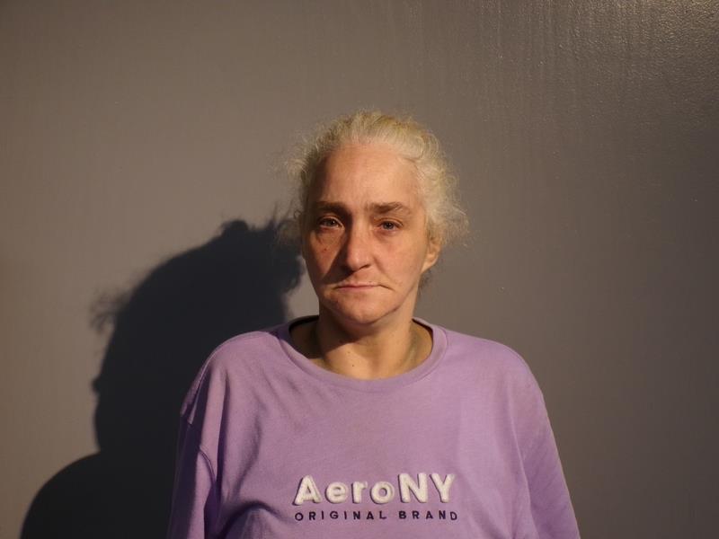 Mugshot of Tracy Lynn Hamilton booked in Dickenson County, Virginia on September 17, 2026