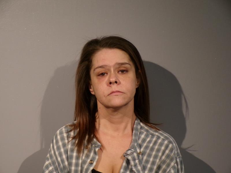 Mugshot of Terri Yates booked in Dickenson County, Virginia on March 18, 2026