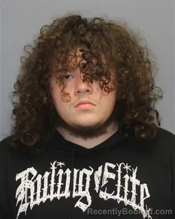 Mugshot of RAFAEL LLERA