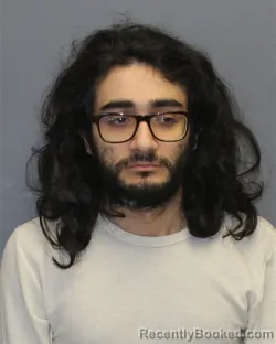 Mugshot of SHAYAN SEIFZADEH booked in Fauquier County, Virginia on April 29, 2026