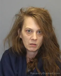 Mugshot of DEANNA JOHNSON