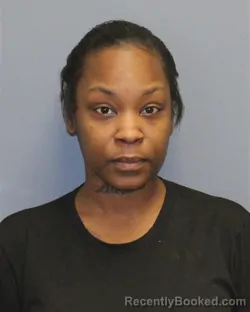 Mugshot of TAKITA INES JOHNSON