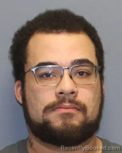 Booking photo from Frederick County, Virginia