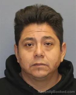 Mugshot of FIDEL MARTINEZ-AYALA