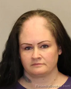 Mugshot of MELISSA ANN EVANS